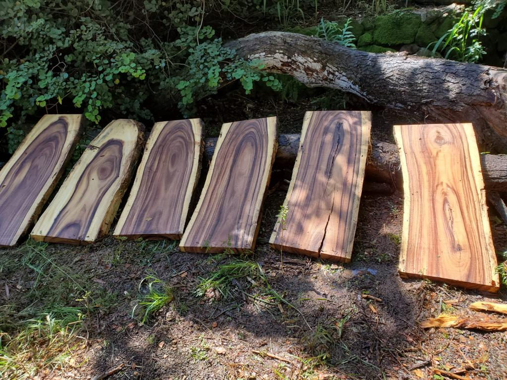 Fresh-milled slabs laid out in the sun to dry.