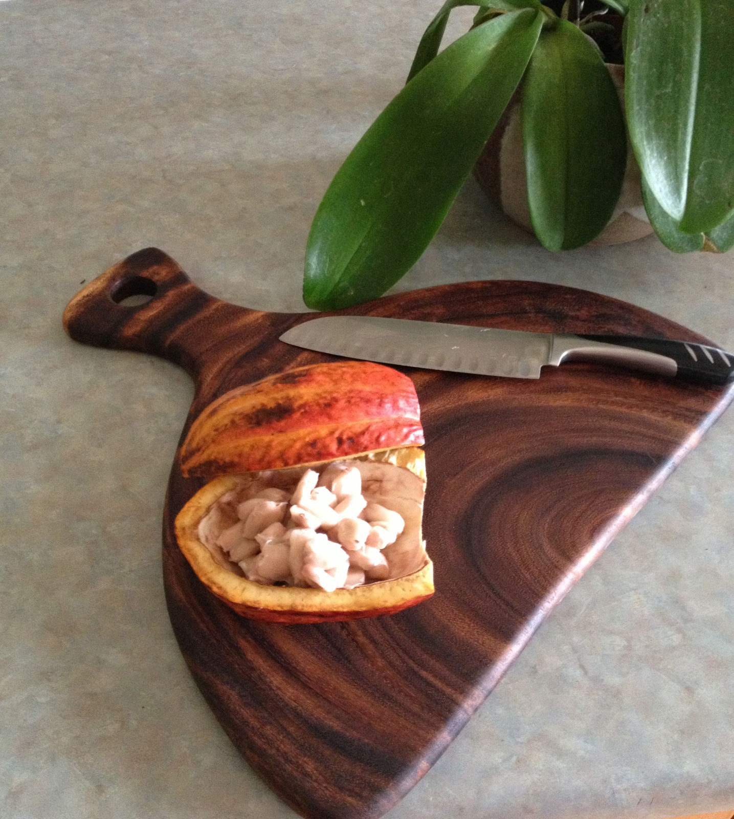 One-of-a-kind reclaimed Hawaiian wood cutting board by Foundwood