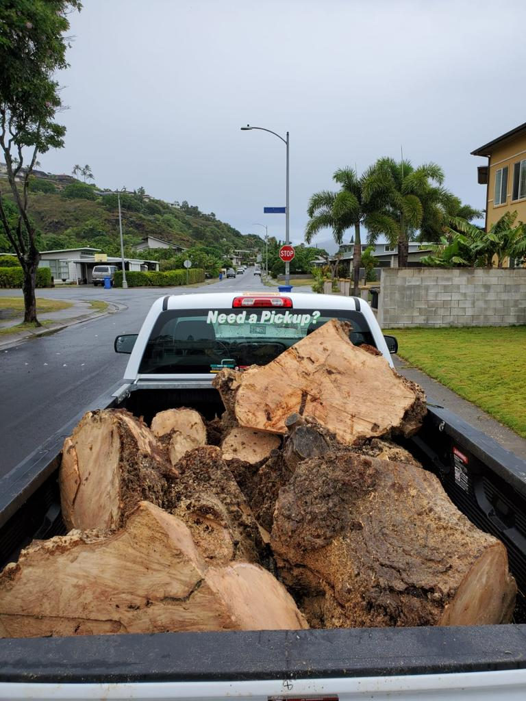 A truckload of rescued logs on a rainy O'ahu street, headed for the sawmill.
